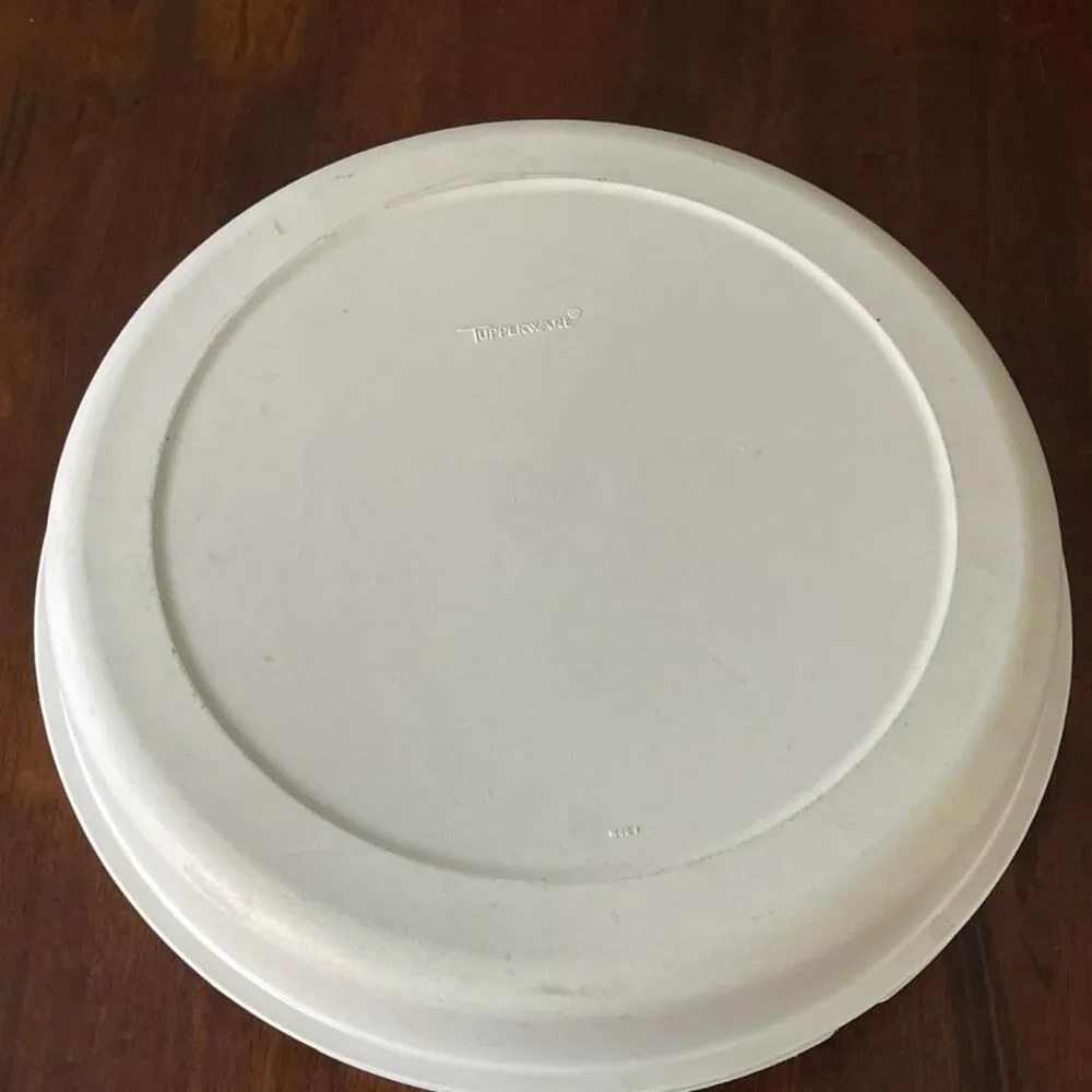 Vintage Tupperware Divided Vegetable Relish Chip & Dip Serving Tray Lid Dip Bowl
